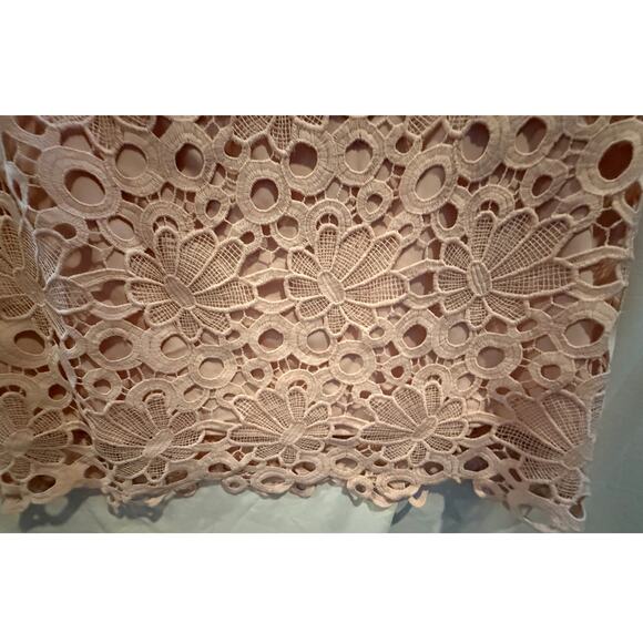 Nanette Lepore Women's size 2 Pink Dress Eyelet Lace Embroidered Lined Cocktail - Picture 8 of 14